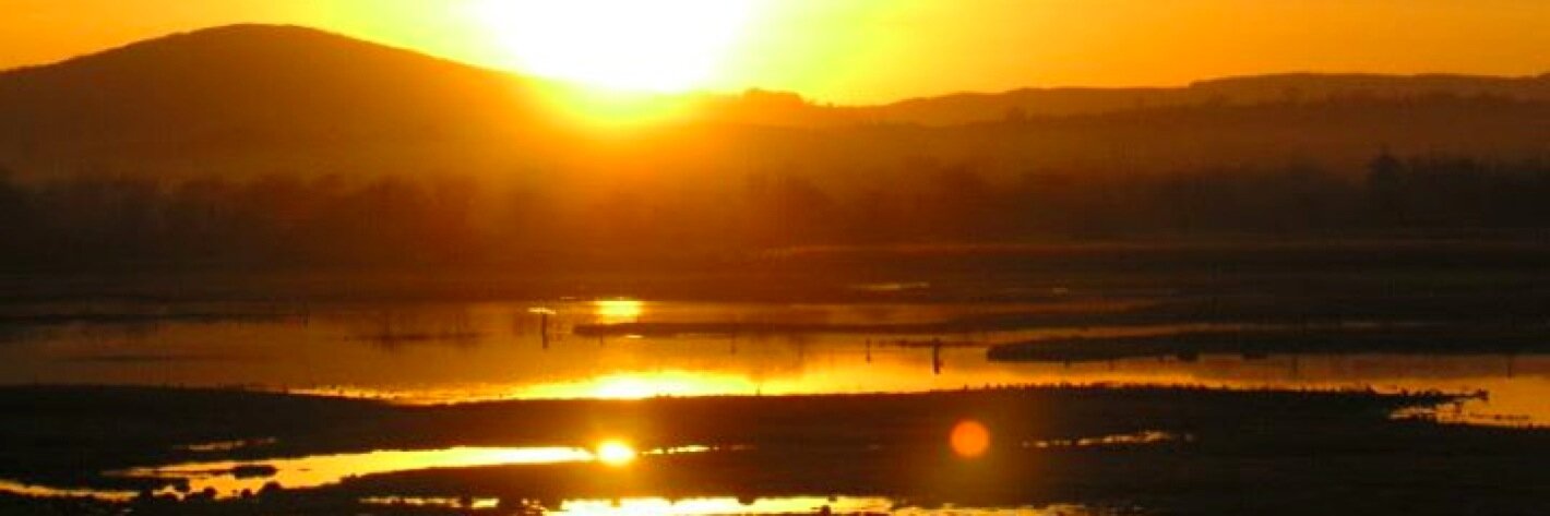 Jennifer Griffin banner