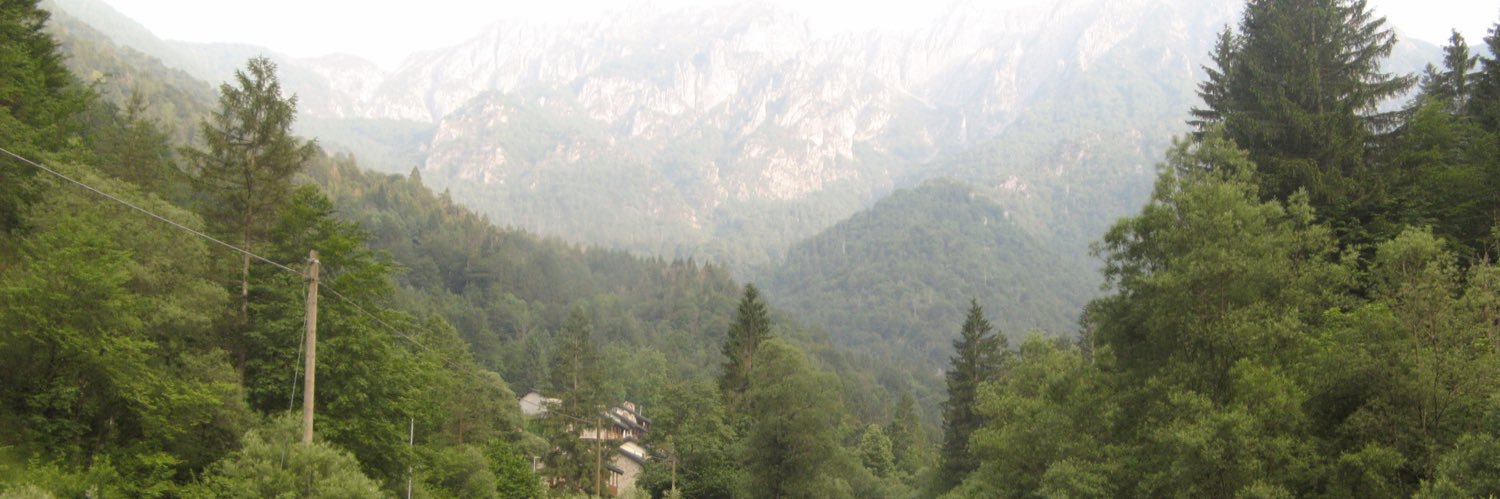 Veronicasm21's profile banner image