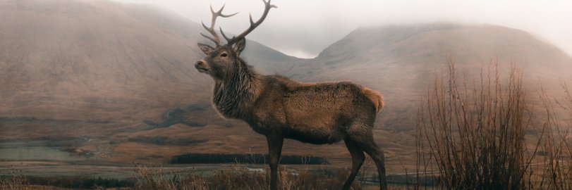 DOGBEYPHILIP's profile banner image
