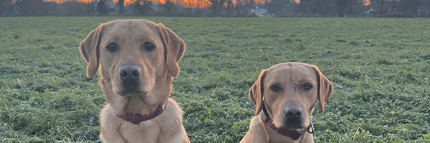 michelle taylor banner