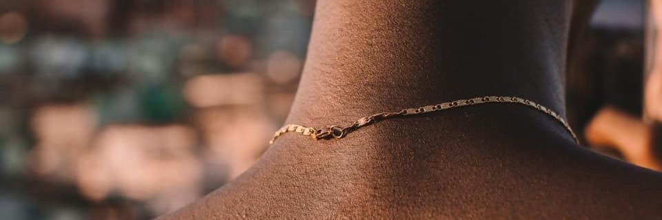 zeca pagodinha banner