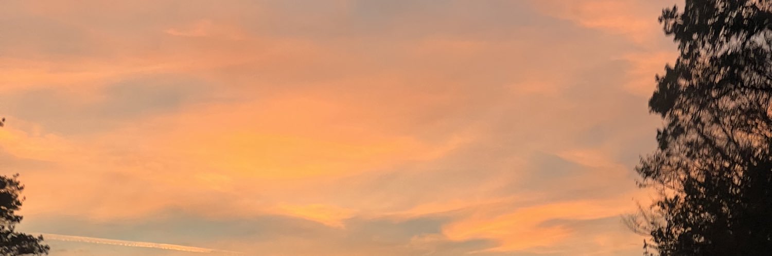 MimiMehada's profile banner image