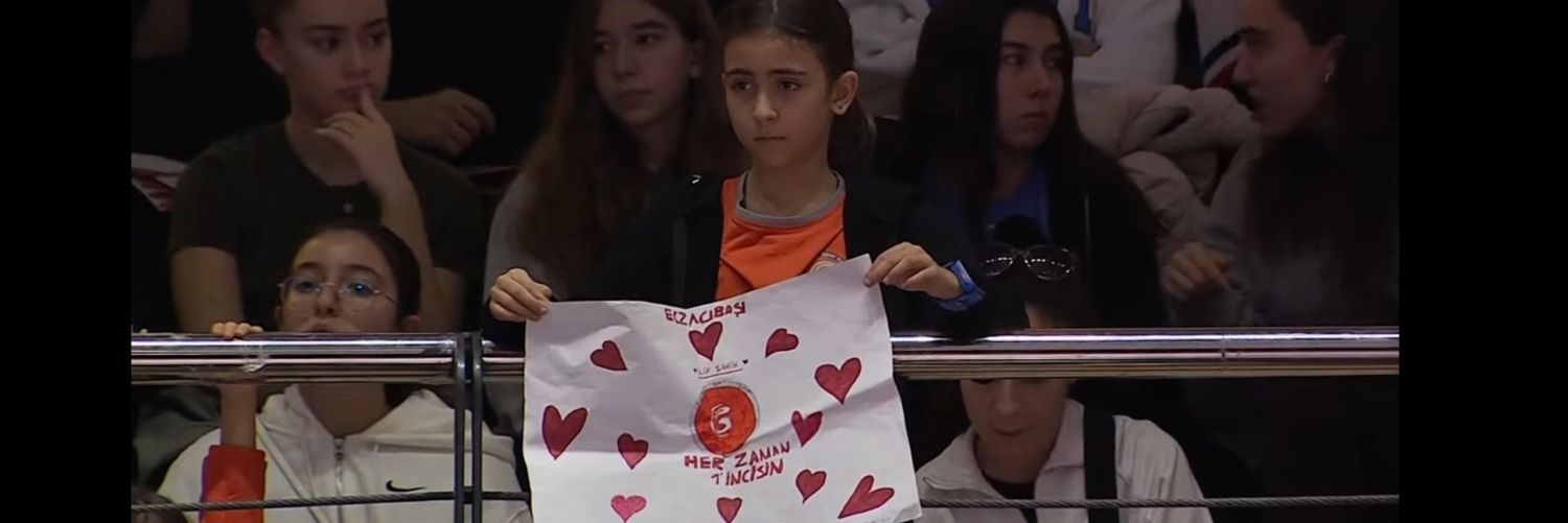 aybalayucell's profile banner image