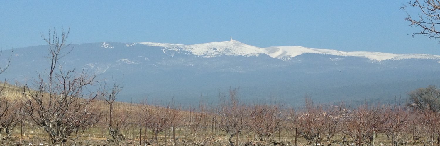 Benoît Gilles banner