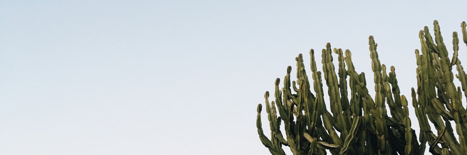 Elle__K's profile banner image