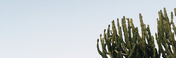 Elle__K Profile Banner