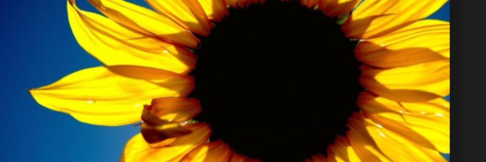 TraceyCarter09's profile banner image