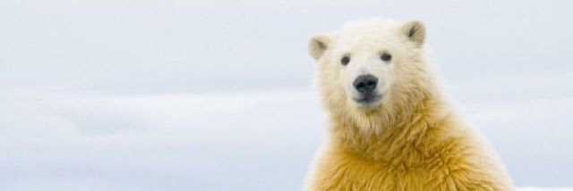 moohachi3's profile banner image