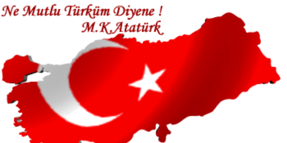 enginelikez's profile banner image