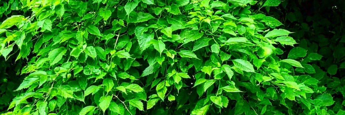 itz_bukar's profile banner image