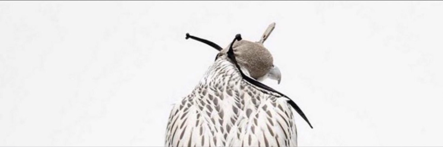 __GA77's profile banner image