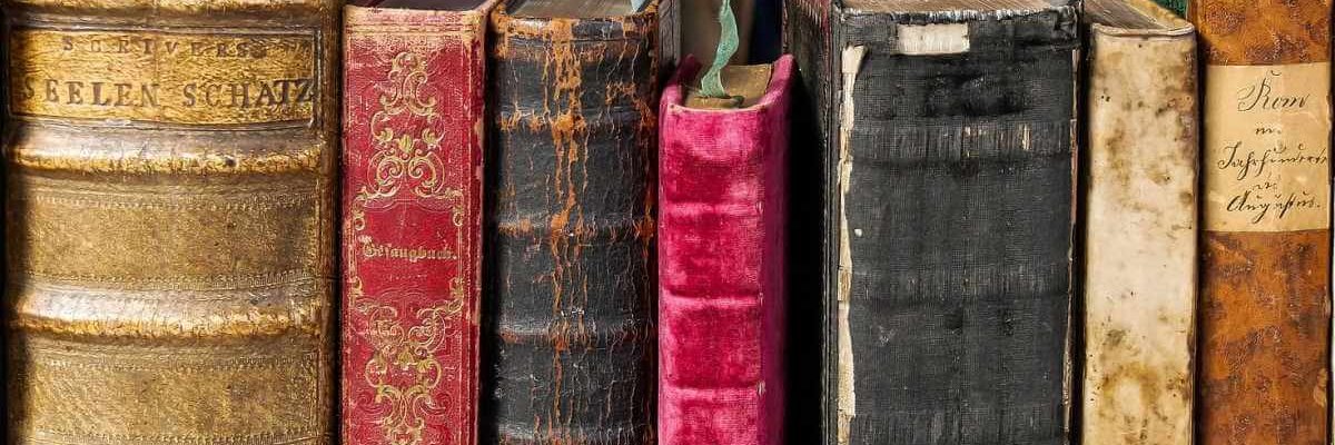 Quotidien101's profile banner image