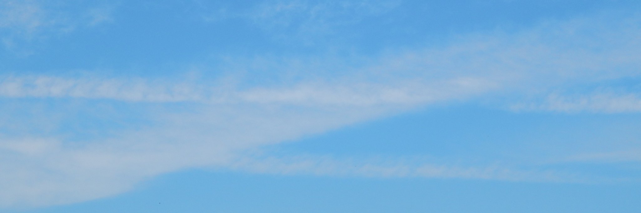 VitoriaLimaB's profile banner image