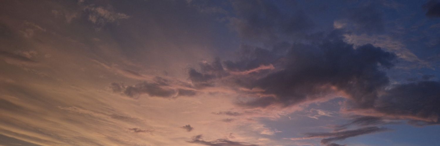 fienosa's profile banner image