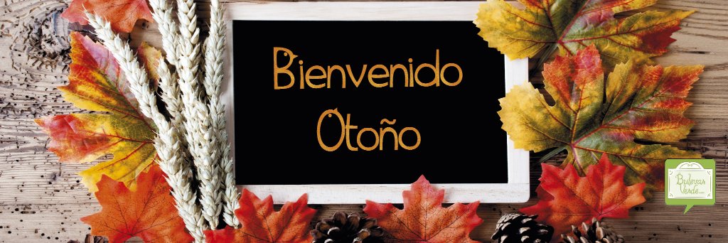 Bulevar_Verde's profile banner image