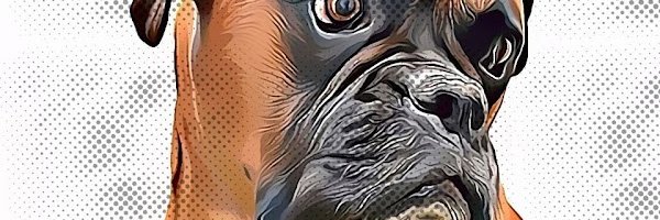 Bety Suarez  banner