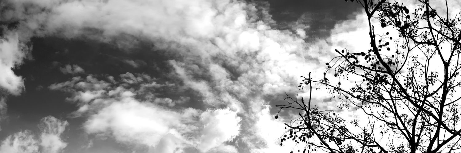 javiperi97's profile banner image