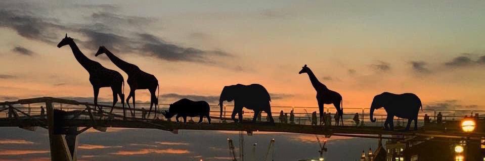 Neleen @ High Timber banner