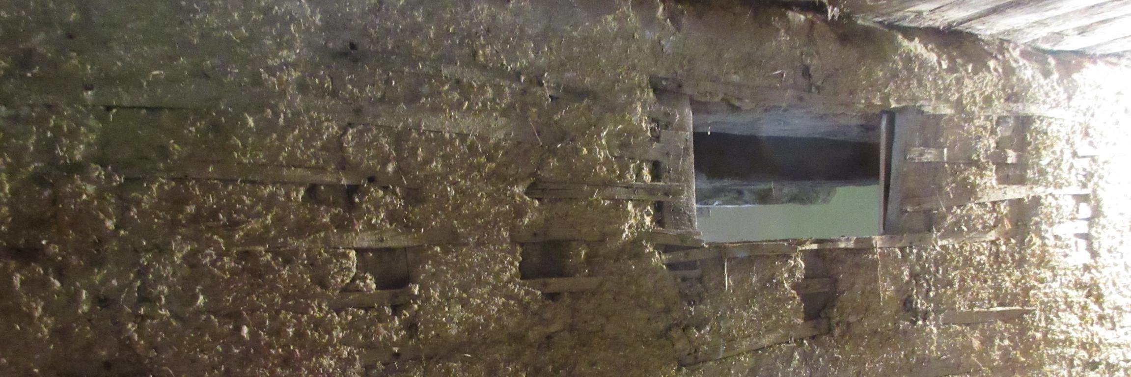 Dominique RAMARD banner