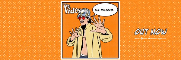 thevidosband Profile Banner