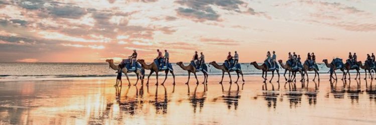 🇦🇺Dookens_Xrp🎱| FFTB 🚀⚔️ 🇦🇺 banner