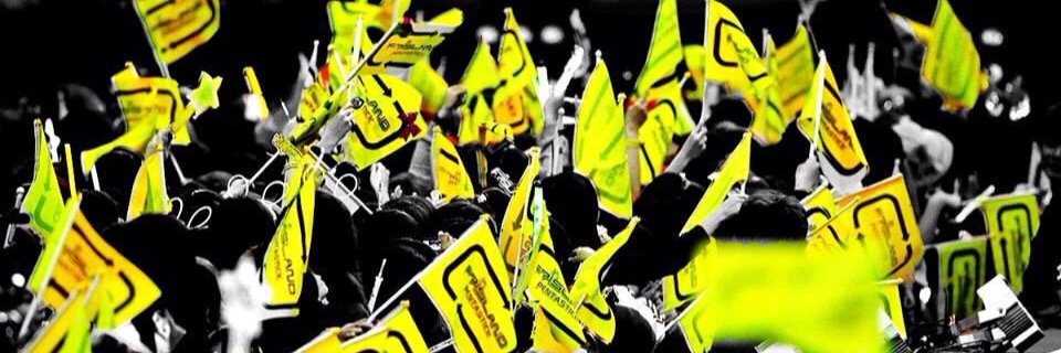 _AltoHayo's profile banner image