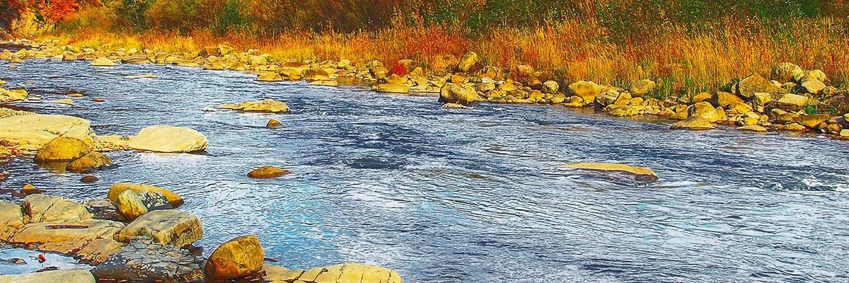 GororoObert's profile banner image