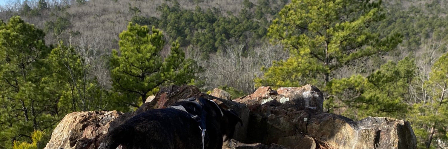shaylateater's profile banner image