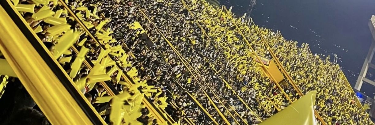 🇻🇪 banner