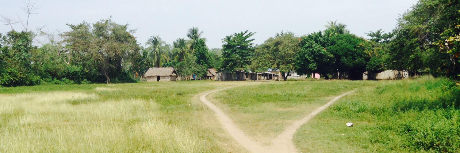 Mathieu Lamolle banner