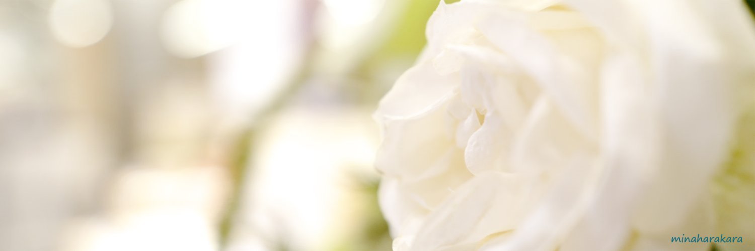 minaharakara's profile banner image