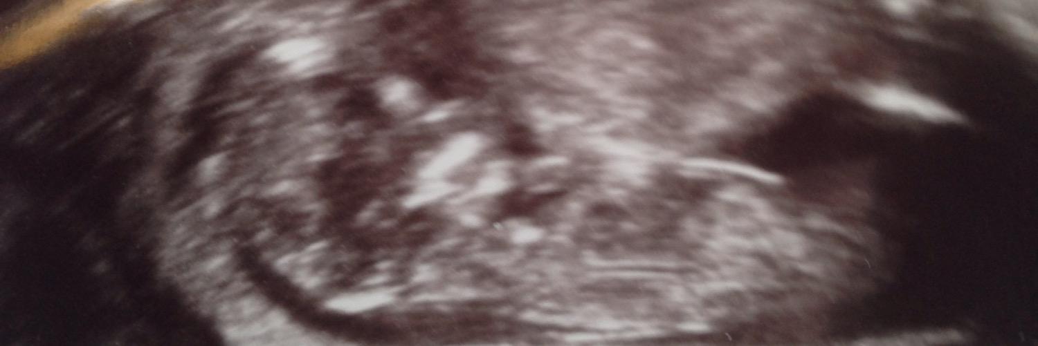 danny5bailey's profile banner image