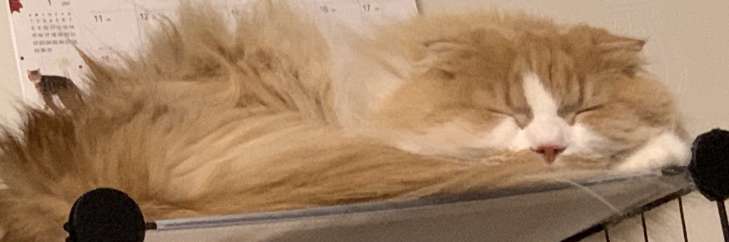 Onosaka2012's profile banner image
