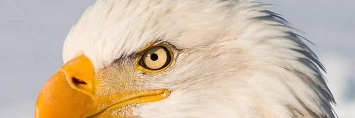 tri_reno's profile banner image