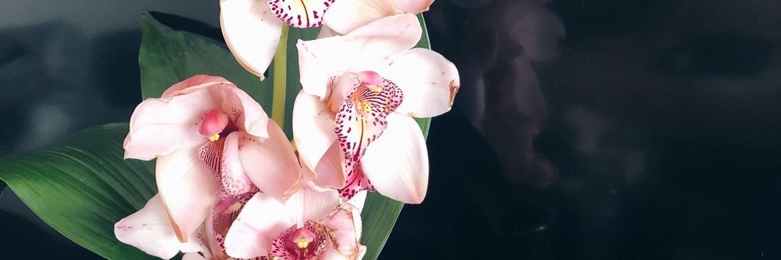 brttnygrcs's profile banner image