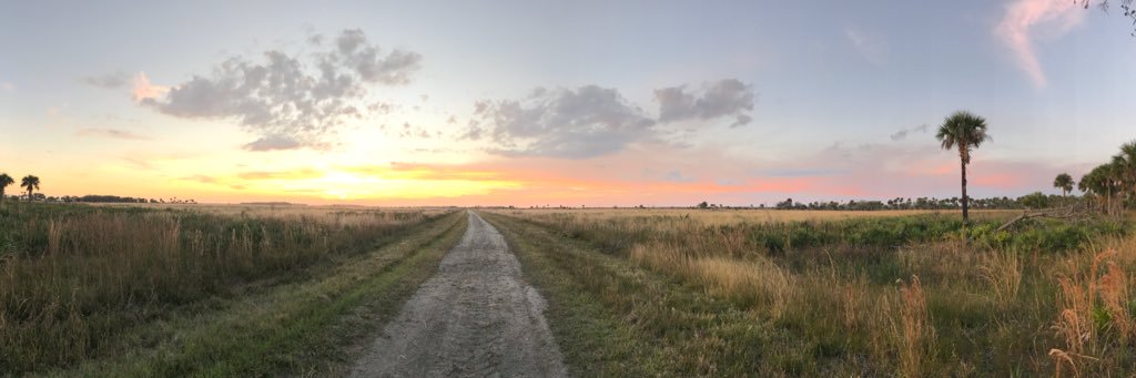 Trisha Elliott banner