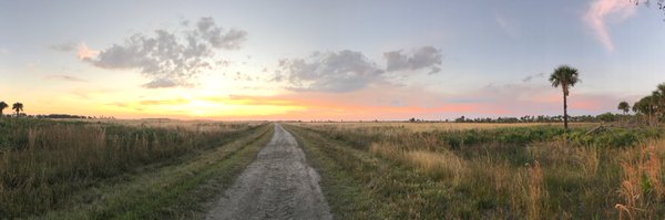 flaedugator Profile Banner