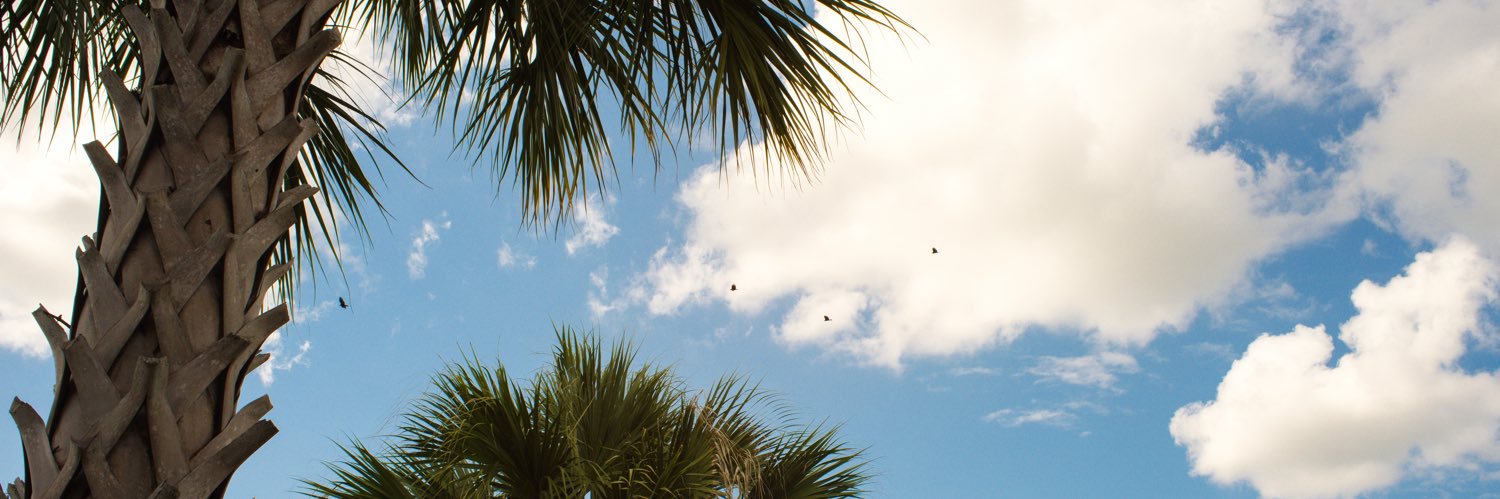 NOTHINGSXWRONG's profile banner image