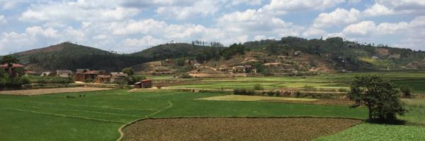 plosson Profile Banner