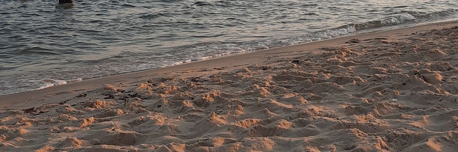 loleenoOn's profile banner image