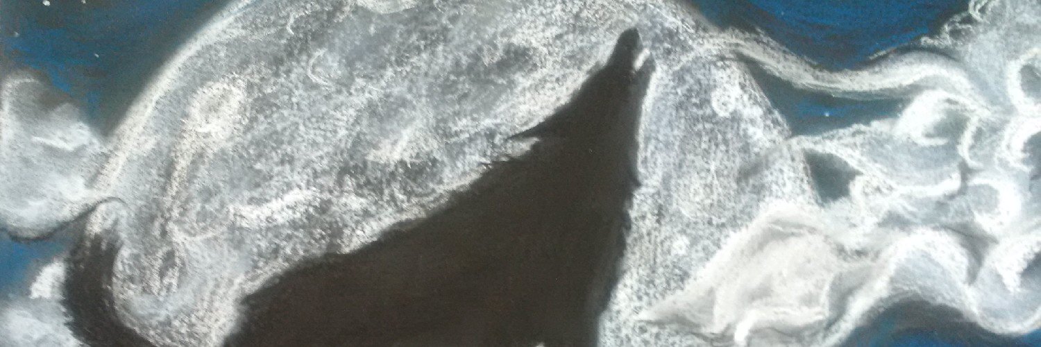wdarterburn's profile banner image