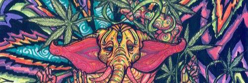 k_yates23's profile banner image