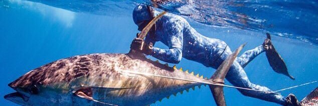 khalil abunada banner