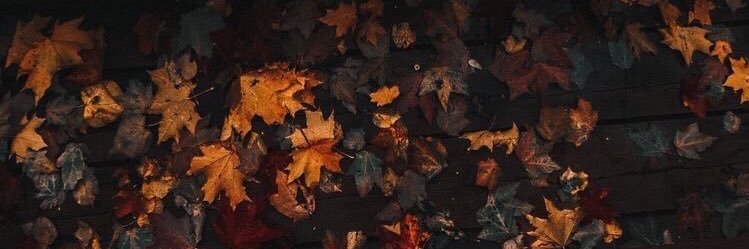 yldrm_ym's profile banner image