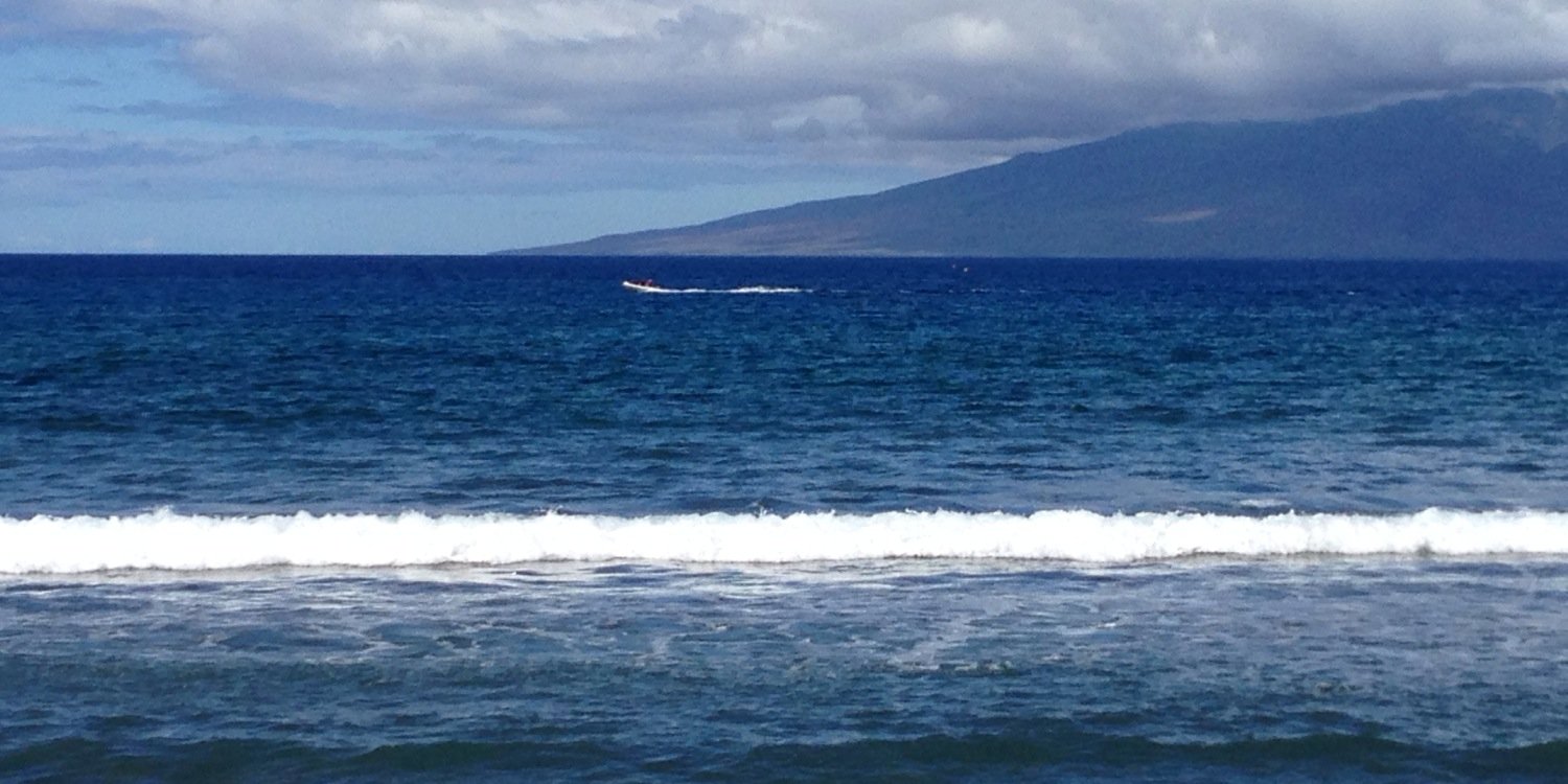 Amy Buckmaster banner