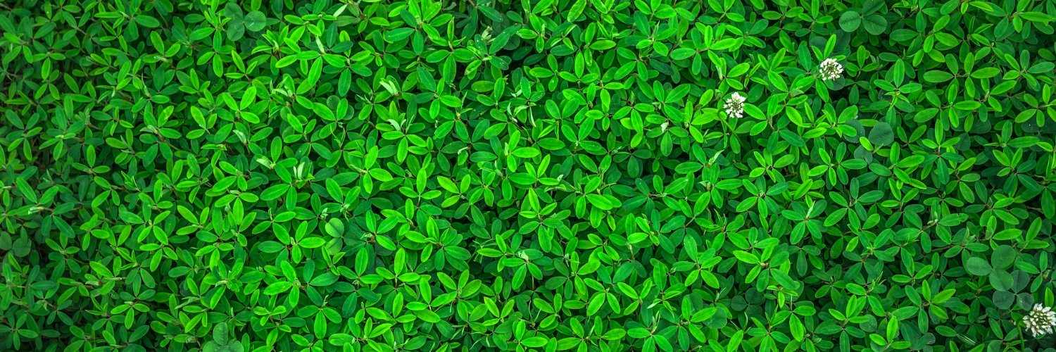 greencity.it banner
