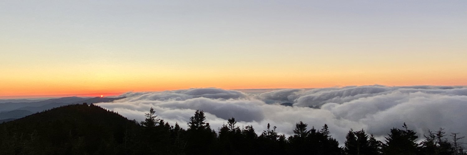 bryli_taylor's profile banner image