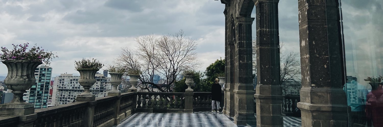 luisaareyess's profile banner image