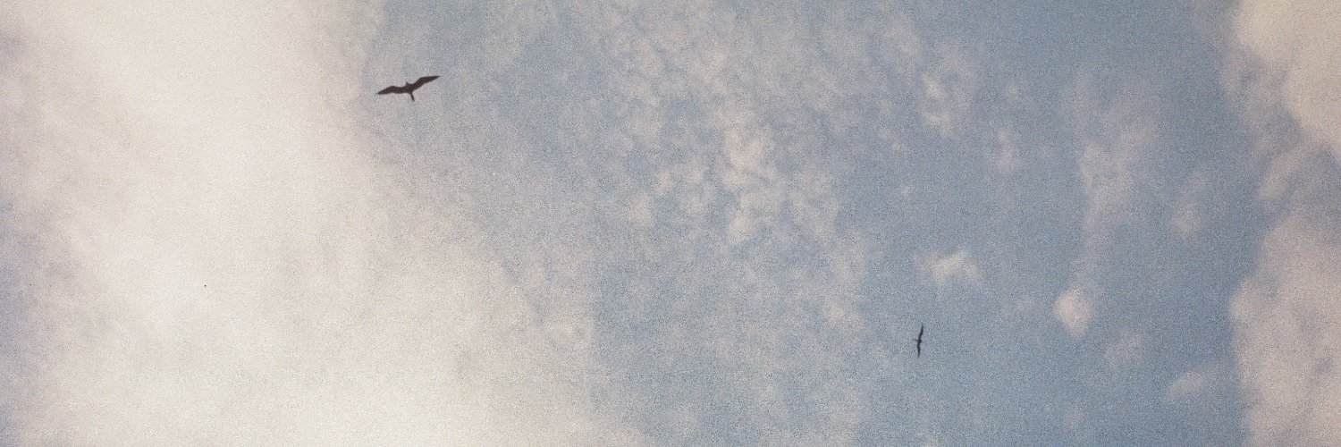 haaaannaa's profile banner image
