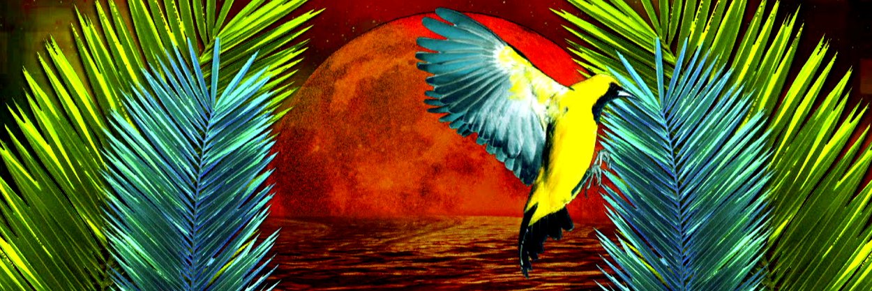 TheFontanasUK's profile banner image